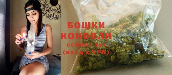 ECSTASY Рославль