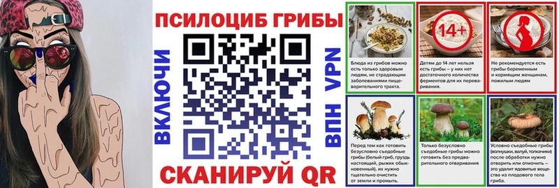 shop Telegram  KRAKEN как войти  Печоры  Псилоцибиновые грибы Psilocybe 